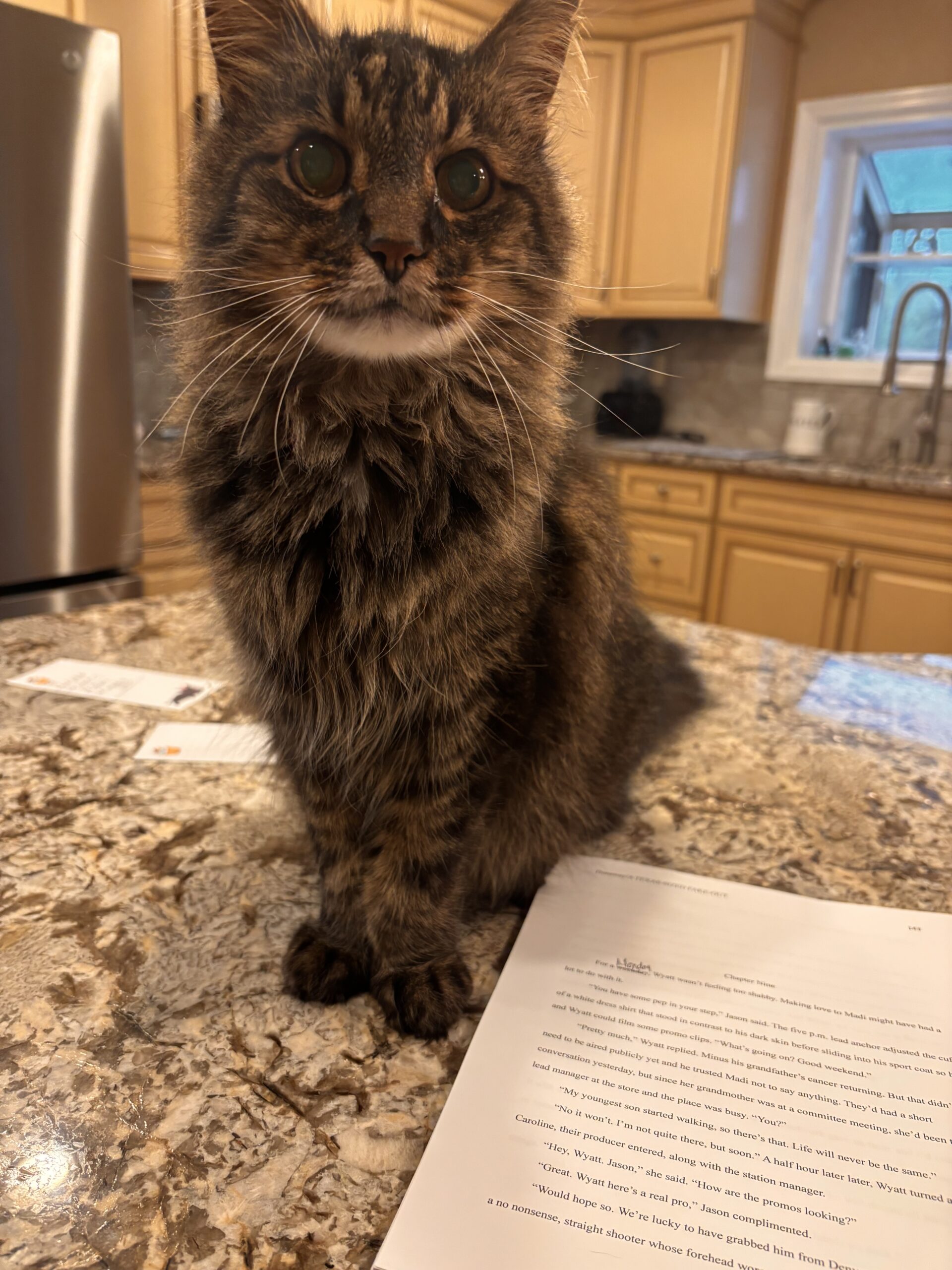 10 Things You’d Never Know About My Writing Process