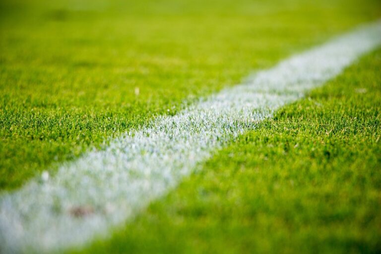 line on a green football field
