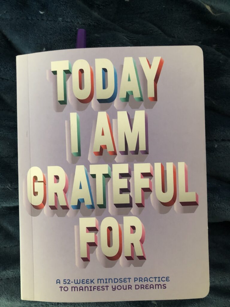 Today I am Grateful For - a journal